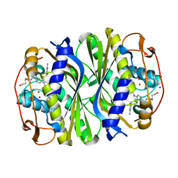 AU of 4knz by Molmil