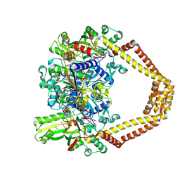 BU of 4kpe by Molmil