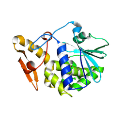 BU of 4kpv by Molmil