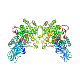 BU of 4ktp by Molmil