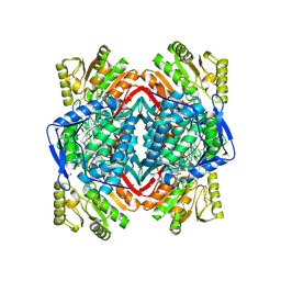 BU of 4kwf by Molmil