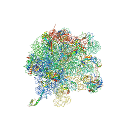 AU of 4kx0 by Molmil