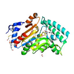 BU of 4kx3 by Molmil