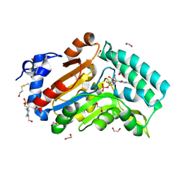 BU of 4kx5 by Molmil