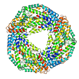 BU of 4l1e by Molmil