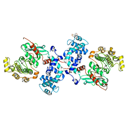 BU of 4l9i by Molmil