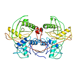 BU of 4lb0 by Molmil