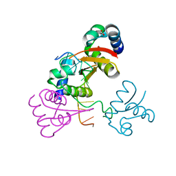 BU of 4lb5 by Molmil