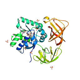 BU of 4lc0 by Molmil