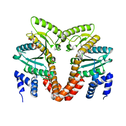 BU of 4lc1 by Molmil