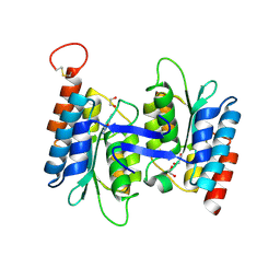 BU of 4lc5 by Molmil