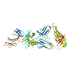 BU of 4lcc by Molmil