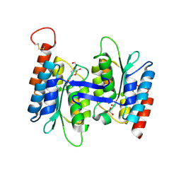 BU of 4lcn by Molmil