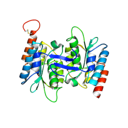 BU of 4lco by Molmil