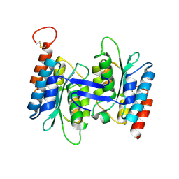 BU of 4lcp by Molmil