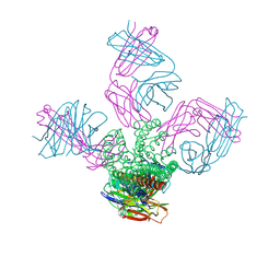 BU of 4lcu by Molmil