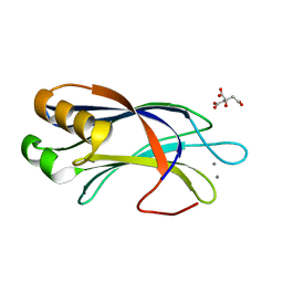 BU of 4ldc by Molmil