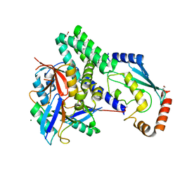 BU of 4ldt by Molmil