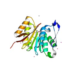 BU of 4lec by Molmil