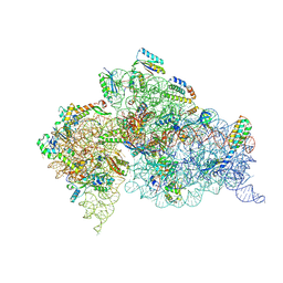 BU of 4lf9 by Molmil