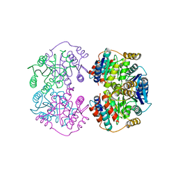 BU of 4lfn by Molmil