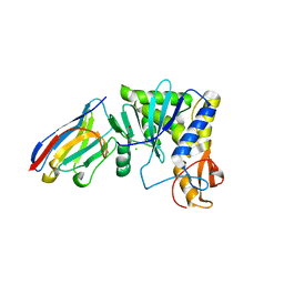 BU of 4lgp by Molmil