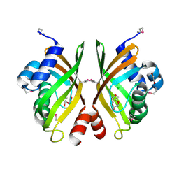 BU of 4lgq by Molmil