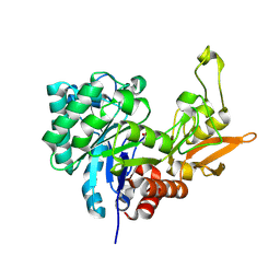 BU of 4lgx by Molmil