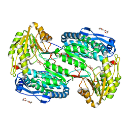 BU of 4lh1 by Molmil