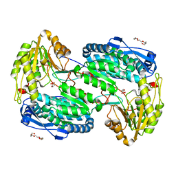 BU of 4lh2 by Molmil