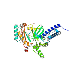 BU of 4lh6 by Molmil