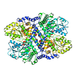 BU of 4lhc by Molmil