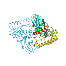 BU of 4lhs by Molmil