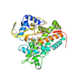 BU of 4lht by Molmil