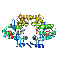 BU of 4lj3 by Molmil