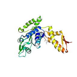 BU of 4lj7 by Molmil