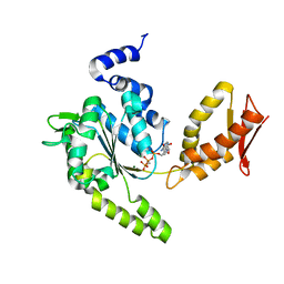 BU of 4lj9 by Molmil