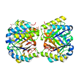 BU of 4lkb by Molmil