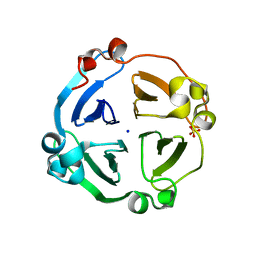 BU of 4ll2 by Molmil