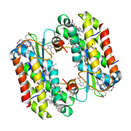 BU of 4lm6 by Molmil