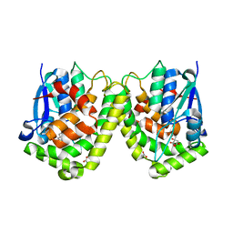 BU of 4lmv by Molmil