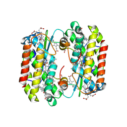 BU of 4lmx by Molmil