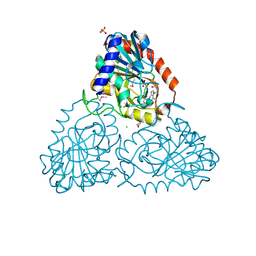 BU of 4lna by Molmil