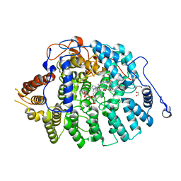 BU of 4lnb by Molmil