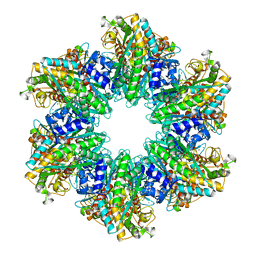 BU of 4lnf by Molmil