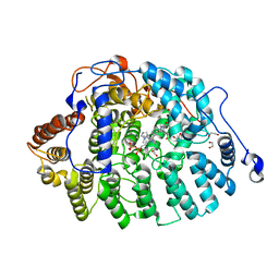 BU of 4lng by Molmil