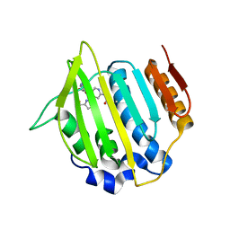 BU of 4lp0 by Molmil