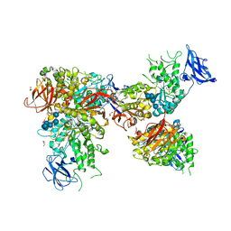 AU of 4lpc by Molmil