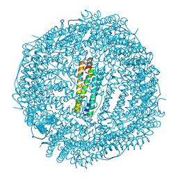 BU of 4lpj by Molmil