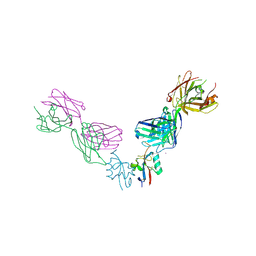 BU of 4lqf by Molmil